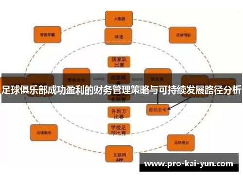 足球俱乐部成功盈利的财务管理策略与可持续发展路径分析