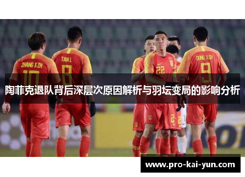 陶菲克退队背后深层次原因解析与羽坛变局的影响分析 陶菲克退队背后深层次原因解析与羽坛变局的影响分析