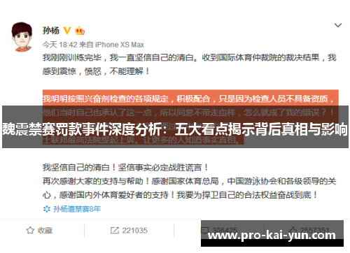 魏震禁赛罚款事件深度分析:五大看点揭示背后真相与影响 魏震禁赛罚款事件深度分析:五大看点揭示背后真相与影响